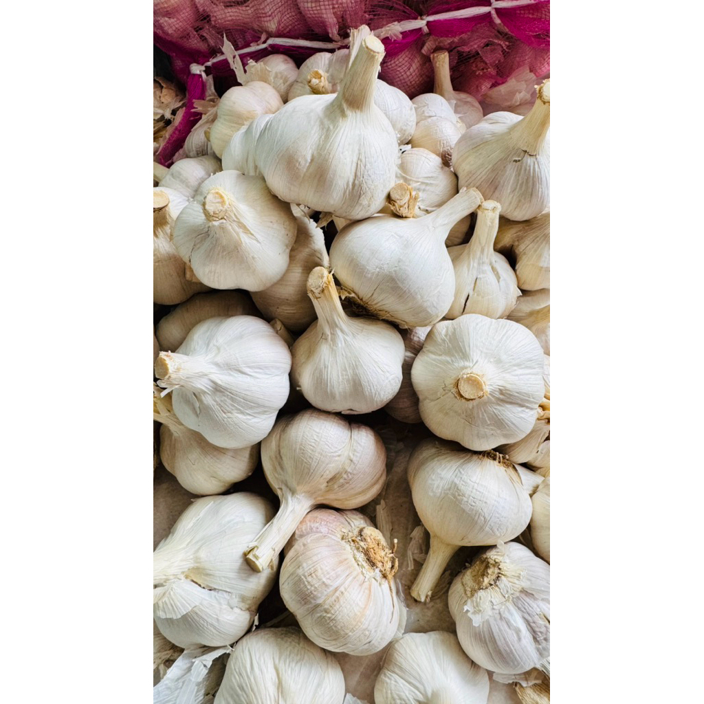 Bawang Putih Kating Bersih 1kg Utuh Murah Grosir Ecer