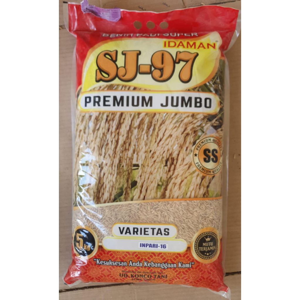 BENIH PADI INPARI 16 PASUNDAN JUMBO