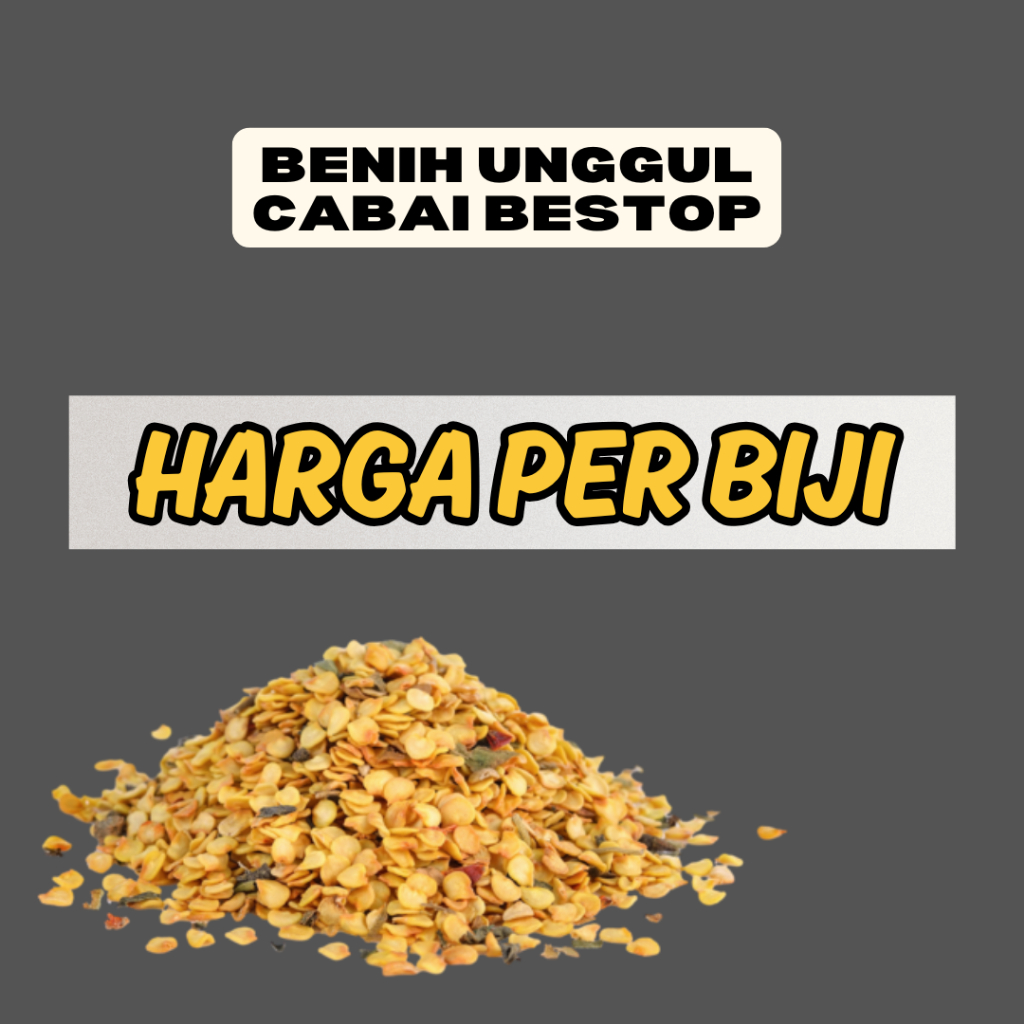 BENIH UNGGUL CABAI RAWIT GEROMBOL BESTOP TAHAN VIRUS