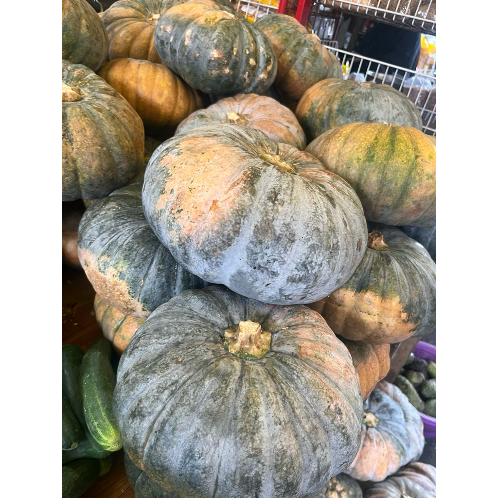 Labu kuning kecil dan besar