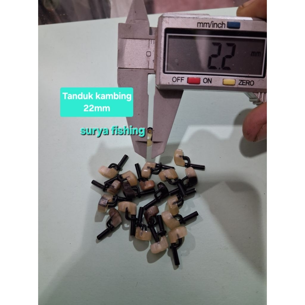 tanduk kambing besutan