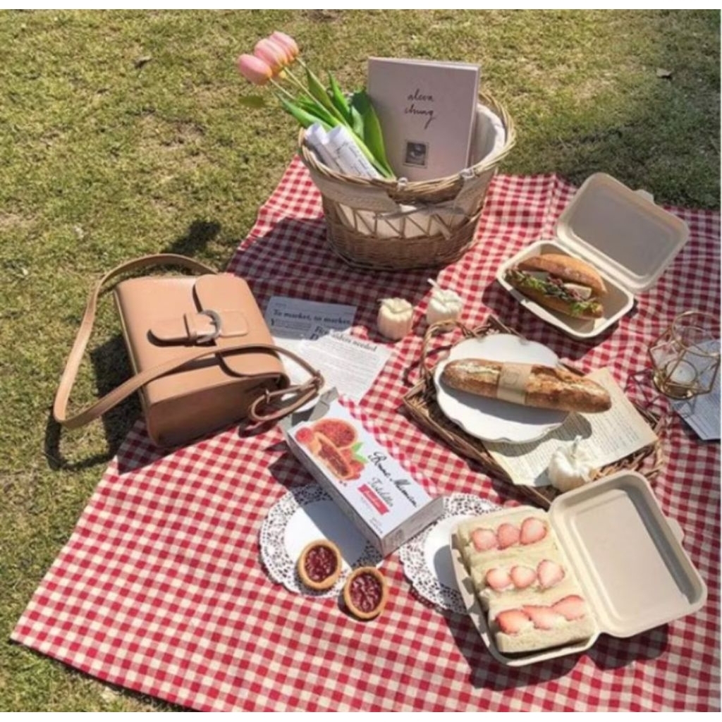 (PREMIUM) ALAS DUDUK PIKNIK TIKAR PIKNIK TAPLAK MEJA KOTAK TIKAR PIKNIK