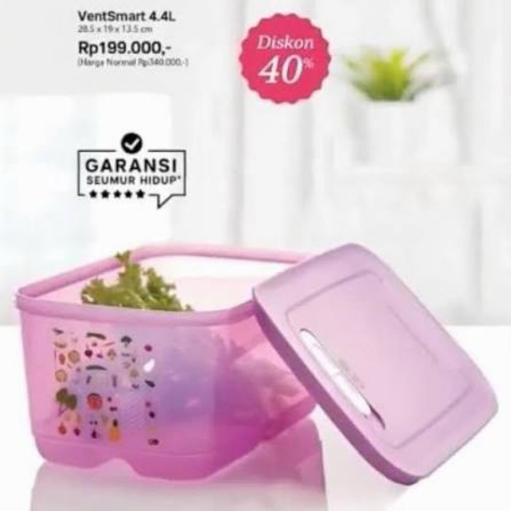Ventsmart wadah Kulkas buah & sayur New Tuppy
