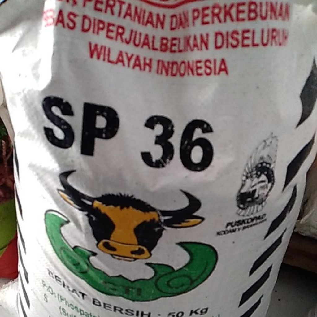 5 KG PUPUK NON SUBSIDI SP 36 KEMASAN REPACK