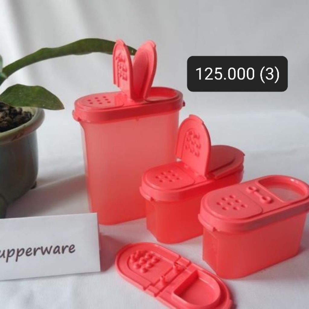 Spice to go tupperware