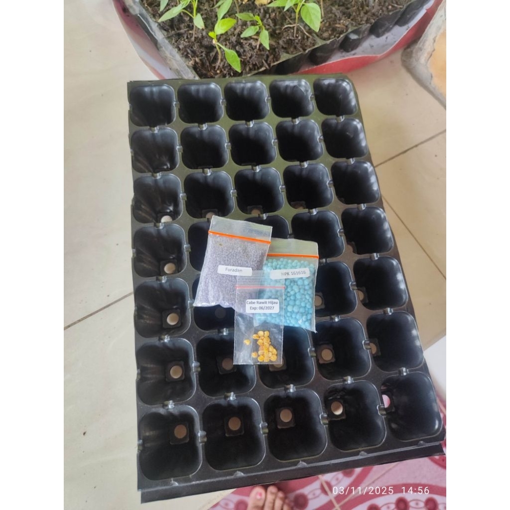 Paket bibit cabe rawit hijau, NPK, furadan dan tray semai 35 lobang