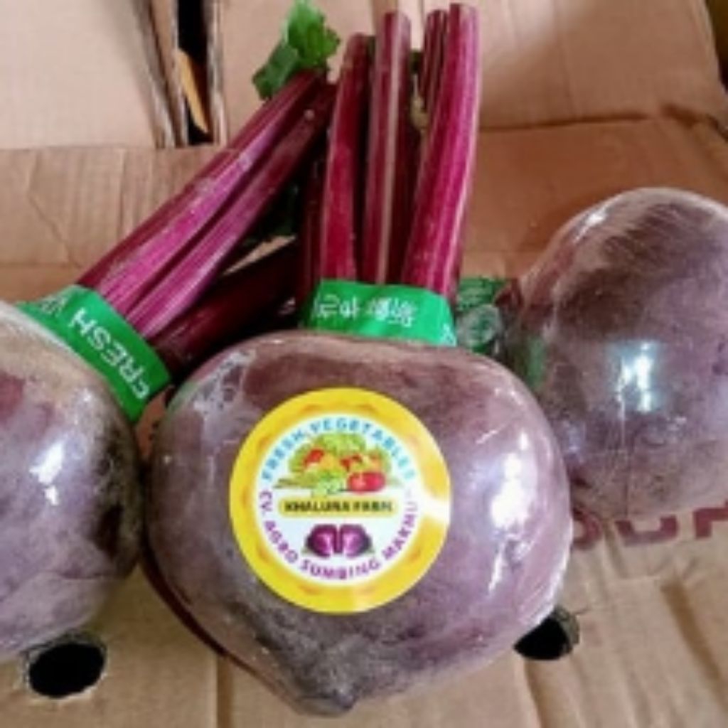Buah bit/beetroot Segar ready ecer/grosir