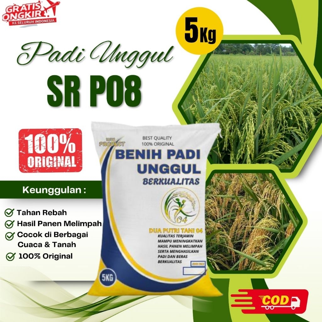BIBIT PADI SR P 08 KEMASAN 5KG