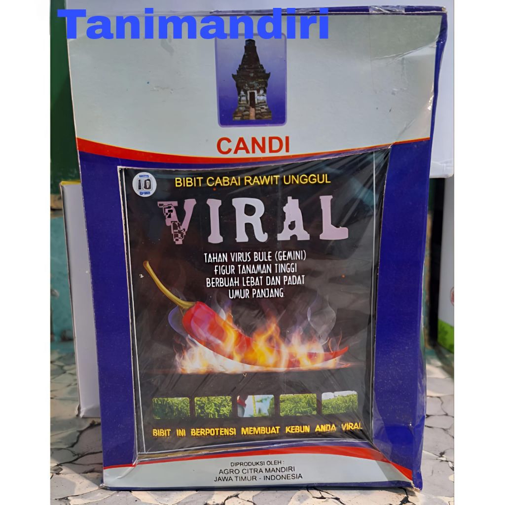 1 Kotak/ 25 Bungkus Benih Cabe Rawit VIRAL isi 10 gram