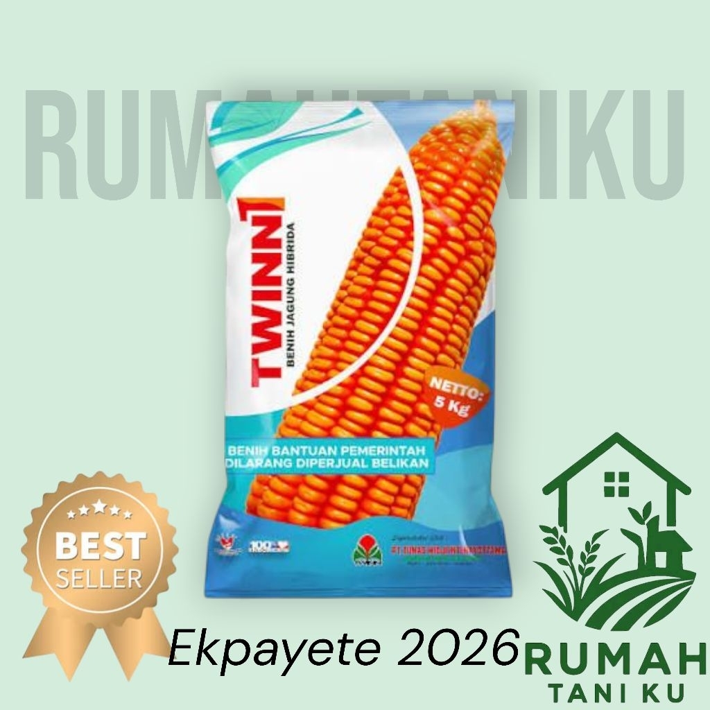 benih jagung hibrida twin kemasan 5kg