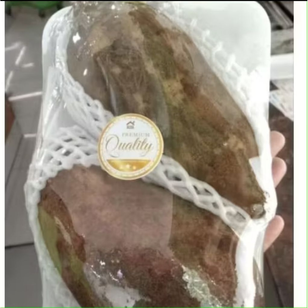 ubi yacon viral ubi manis yacon super fresh 500 gram