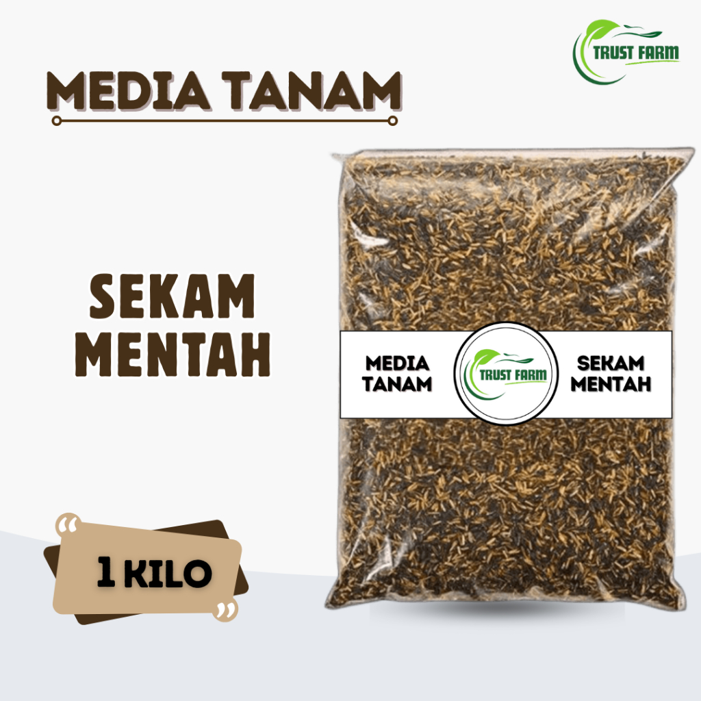 Sekam Fermentasi - Sekam Mentah Media Tanam