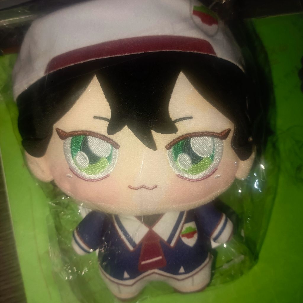 Miya Chinen SK8 the Infinity Chopinui Plush