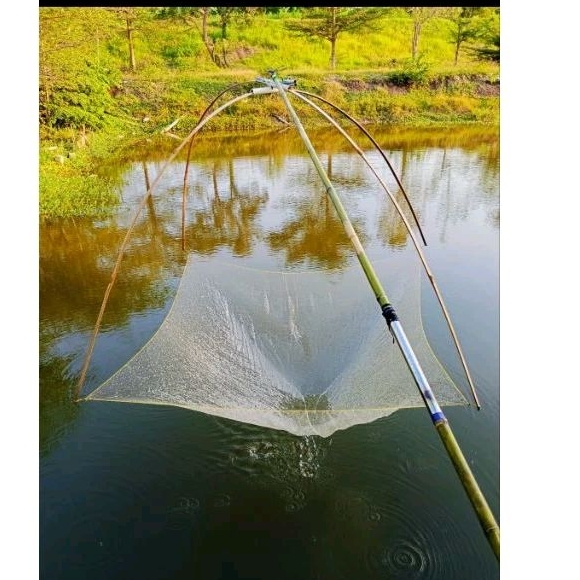 jaring anco, wader, udang, teri, dll 3x3 meter