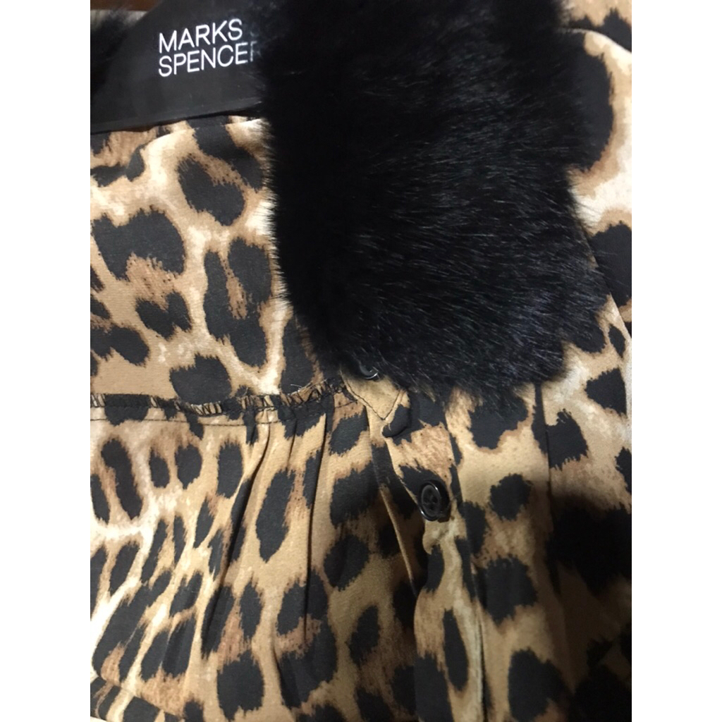 leopard kerah bulu rare