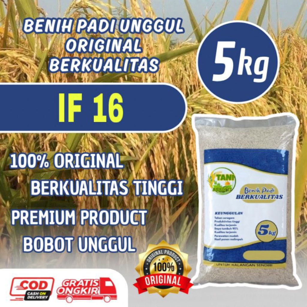 Benih padi IF 16 benih original kemasan 5kg