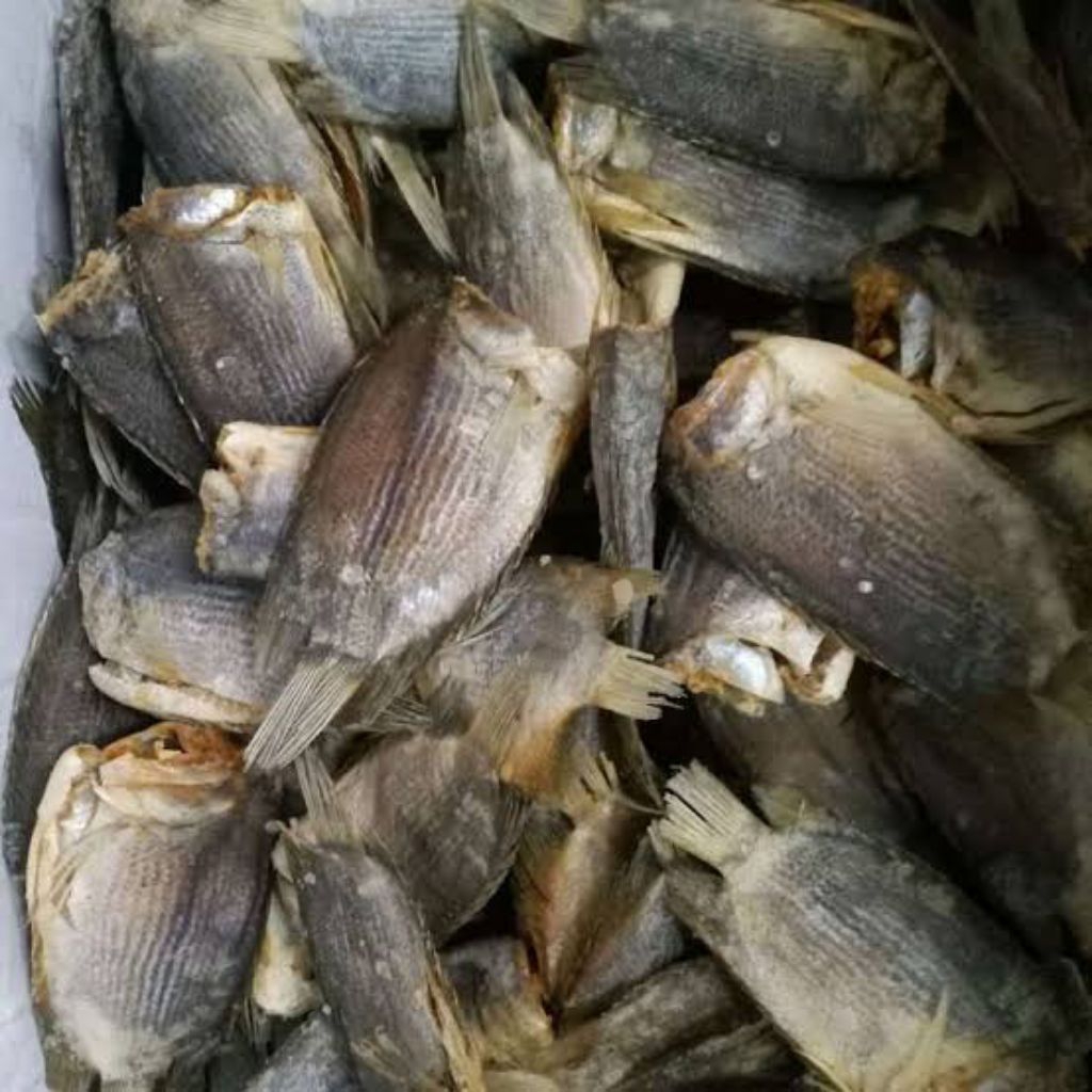 Ikan Asin Tembakang