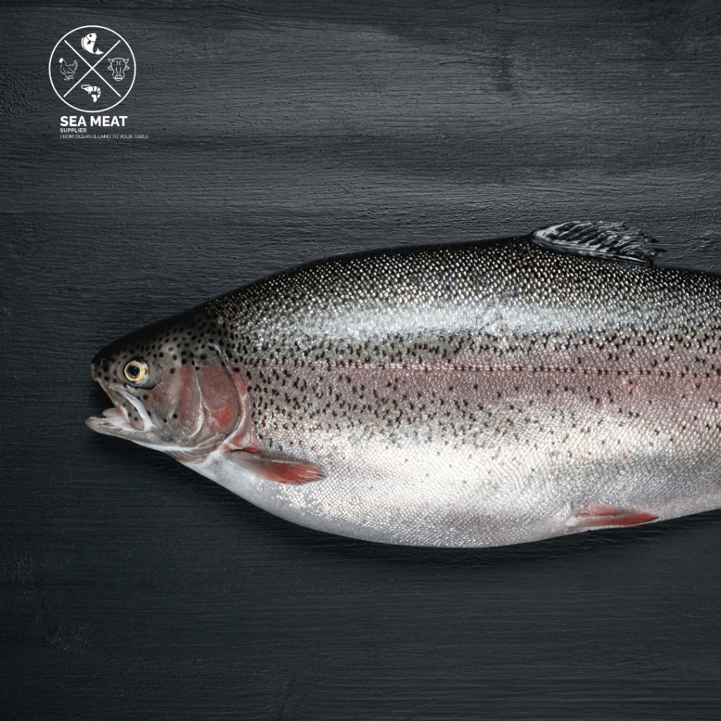 Ikan Salmon Utuh Norwegian Frozen | Frozen Fresh | Salmon Trout Norwegia