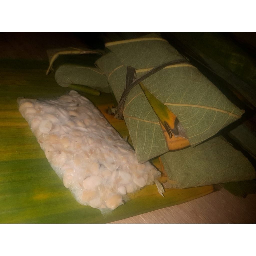Tempe Kedelai Bungkus Daun Jati