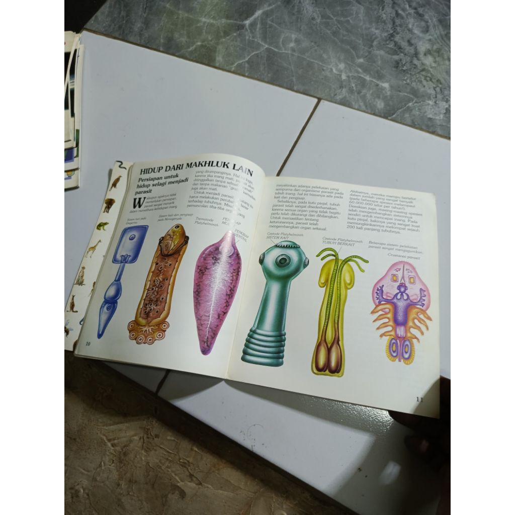 RAHASIA DUNIA BINATANG KUTU Parasit-Di GB2 kode E3