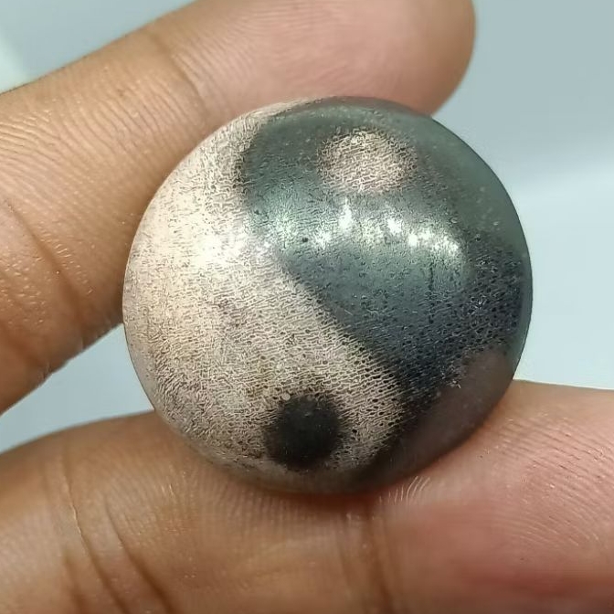 Batu Posil Kelor Motip Yin Yang