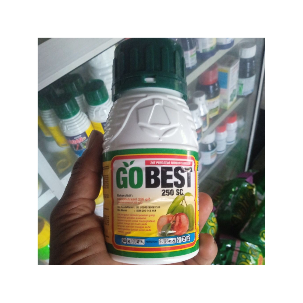GOBEST ZPT PACLOBUTRAZOL PERANGSANG BUNGA 250 EC