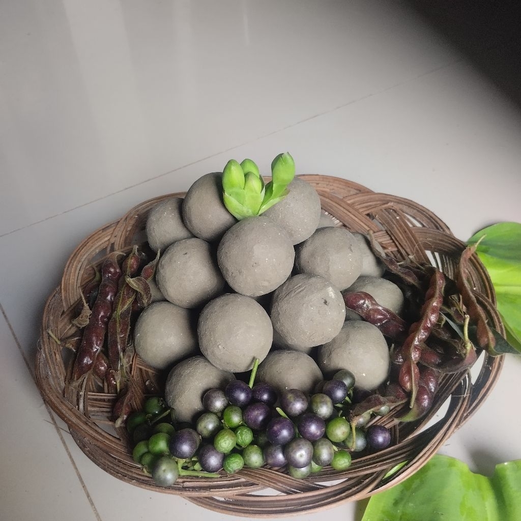 ampo tanah liat tanah lempung untuk masak daun paya