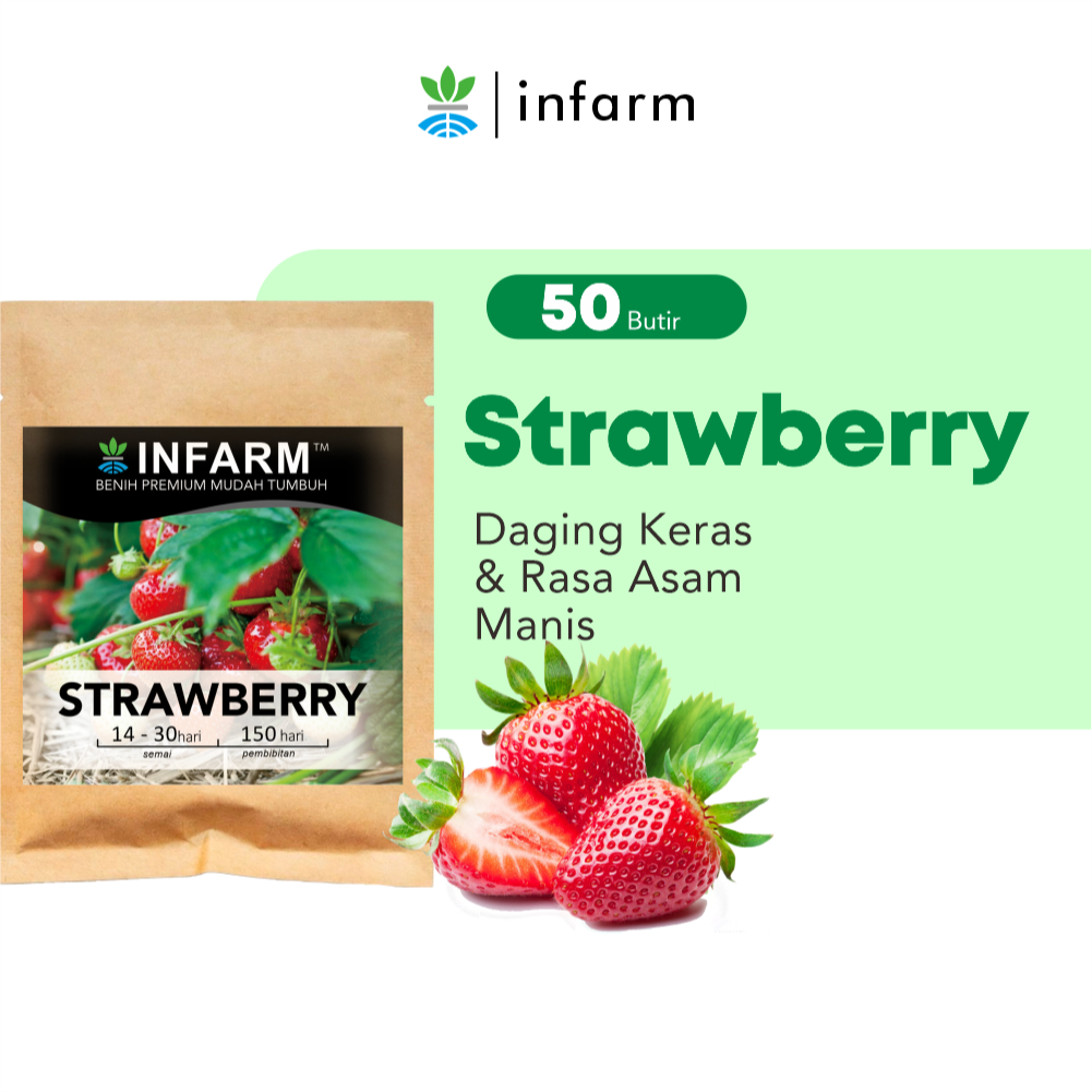 INFARM - Benih Strawberry Red Giant Fragaria Ananassa 50 Butir Biji Stroberi Unggul Buah Besar Merah