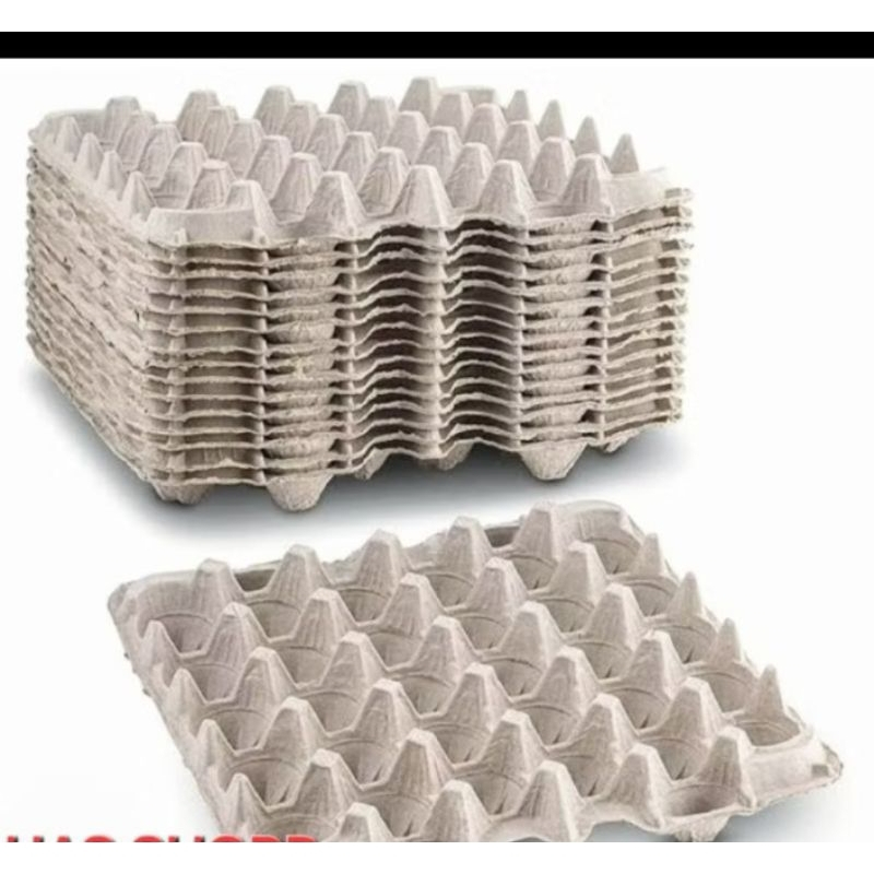 [ PAKET 10 LEMBAR ] Wadah Telur / egg try  / tempat telor karton bekas / egg tray murah