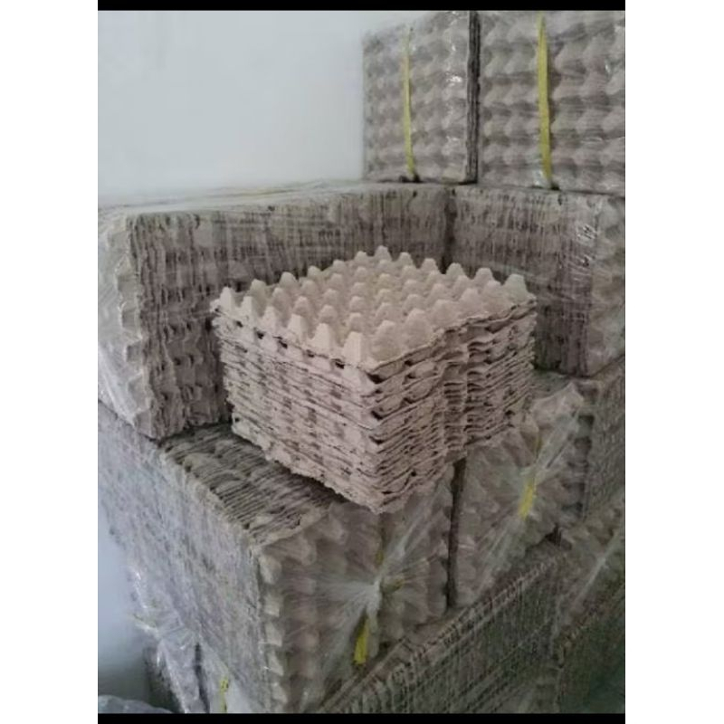 PAKET 10 LEMBAR  Wadah Telur Ayam / Telur Bebek / Telur puyuh / egg try Karton / Kardus