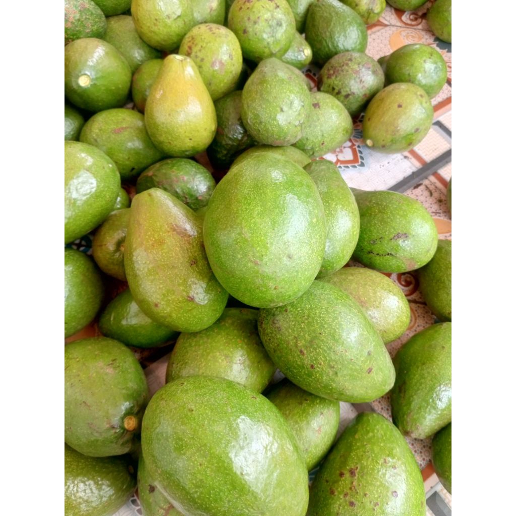 alpukat lukal garut mentega isi 4-5buah