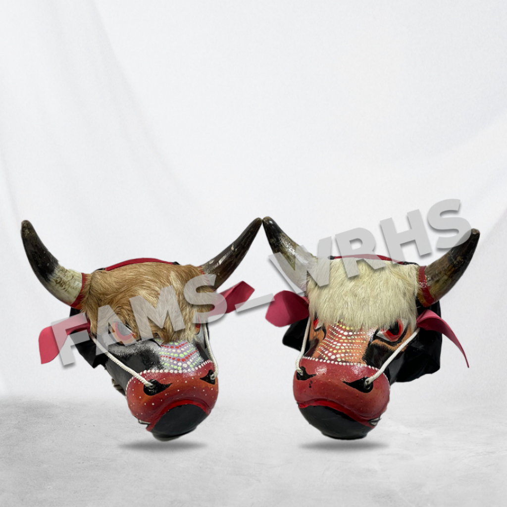 FAMS WRHS Bantengan Pentas Sungu Asli Dewasa Berkualitas Kokoh