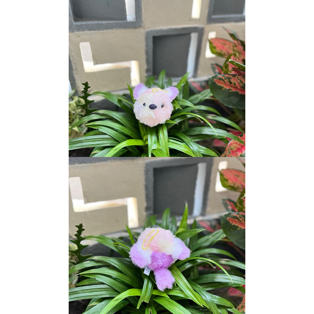 Ganci Burung Amuse Rainbow,Ganci Amuse Amufun