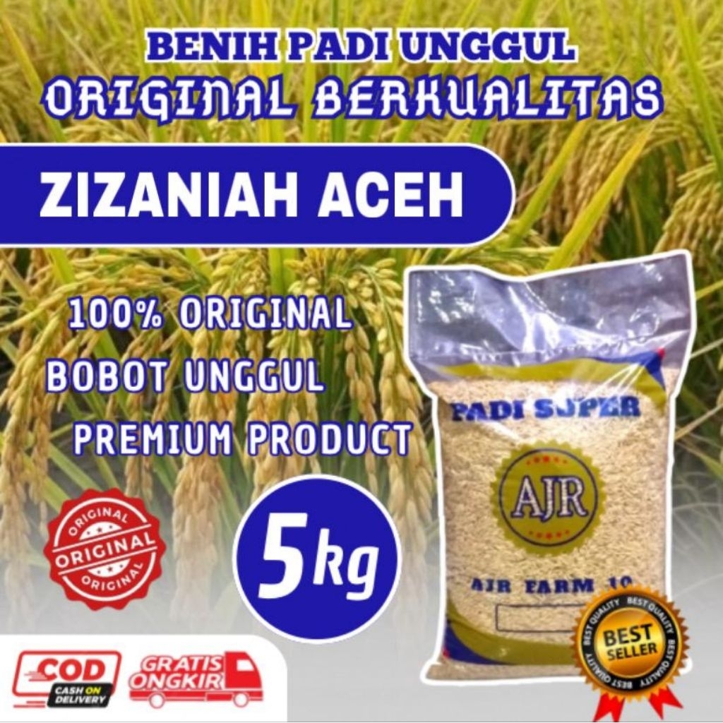 Benih Padi Unggul Kualitas Terjamin (ZIZANIAH ACEH)5Kg