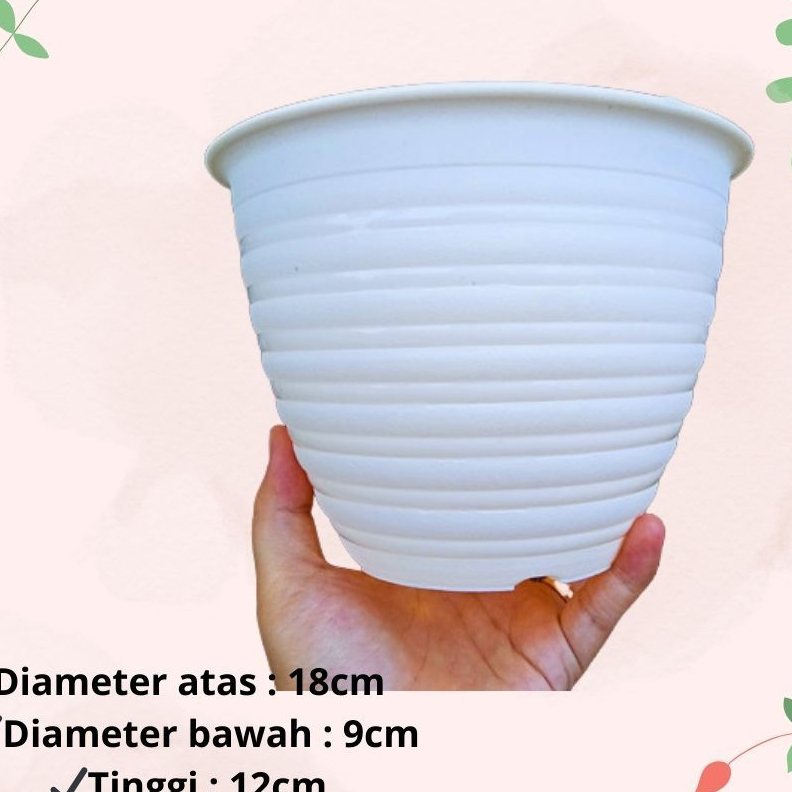 (6 pcs) POT TAWON 18 CM PUTIH -Pot Super Tawon 18