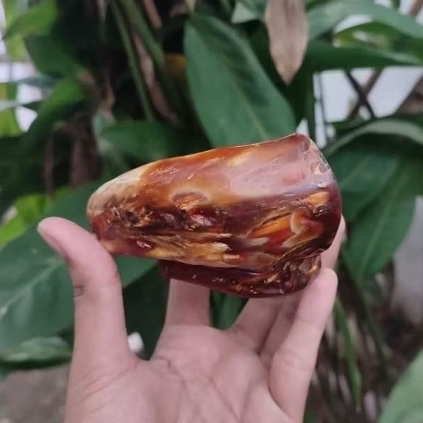 Gelang Akar Bahar Merah Polos Size Jumbo Asli Berkualitas / Akar Bahar Asli