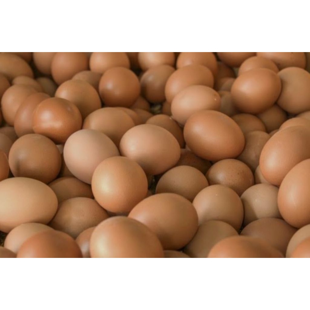 telur ayam 1 kg