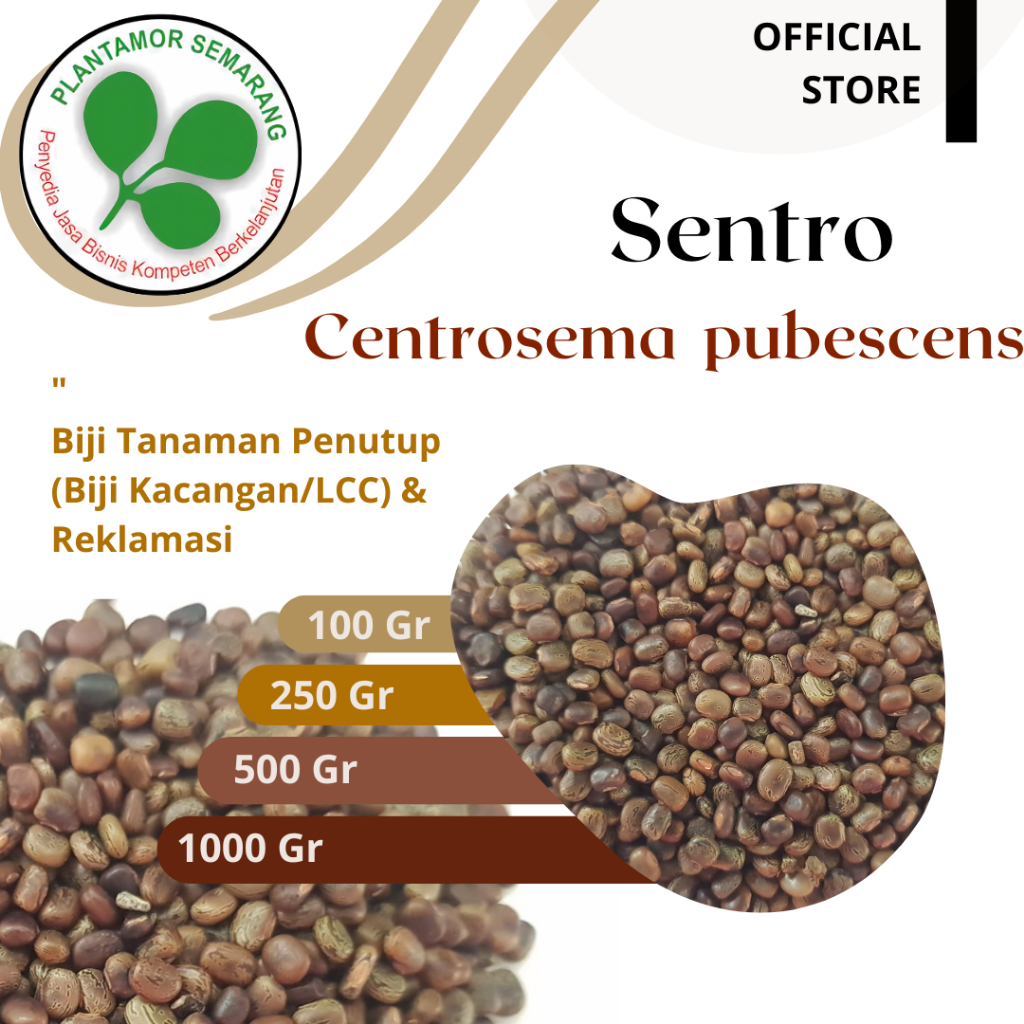 Benih CP Centrosema pubescens / Benih LCC / Kemasan 100 - 1000 gr