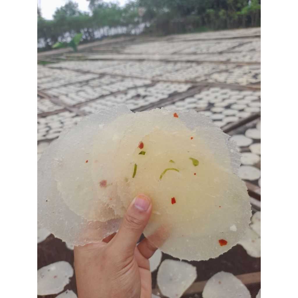 1000 gram Enye rasa original | enye singkong mentah khas sukabumi