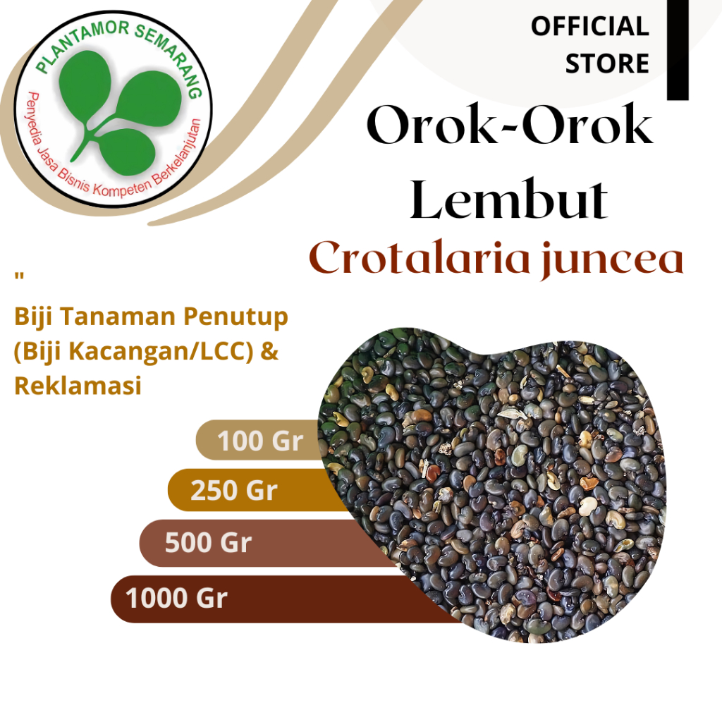 Benih CRJ Crotalaria juncea / Orok-orok / Benih LCC / Kemasan 100 - 1000 gr