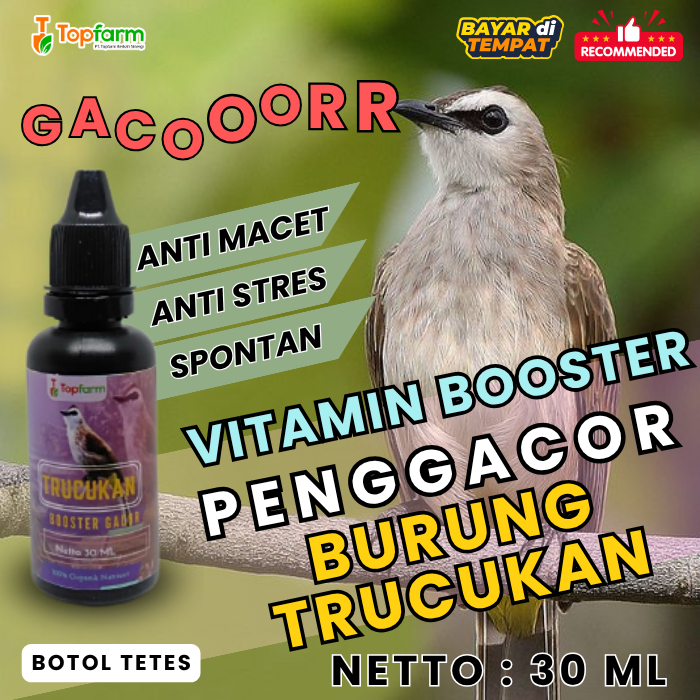 Vitamin Burung Trucukan Gacor/ Vitamin Burung Trucukan/ Vitamin Trucukan Biar Gacor/ Obat Burung Tru