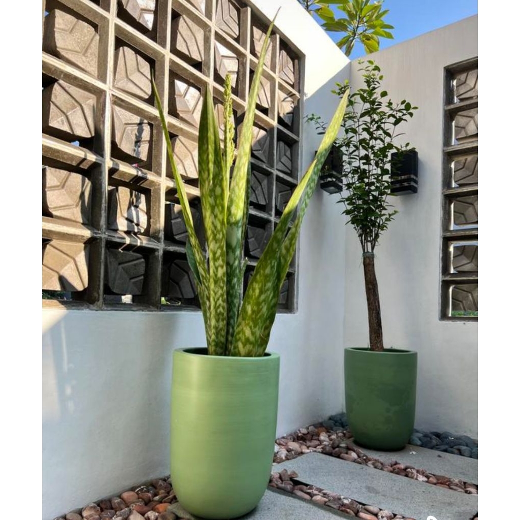 Pot Teraso Kapsul Unik