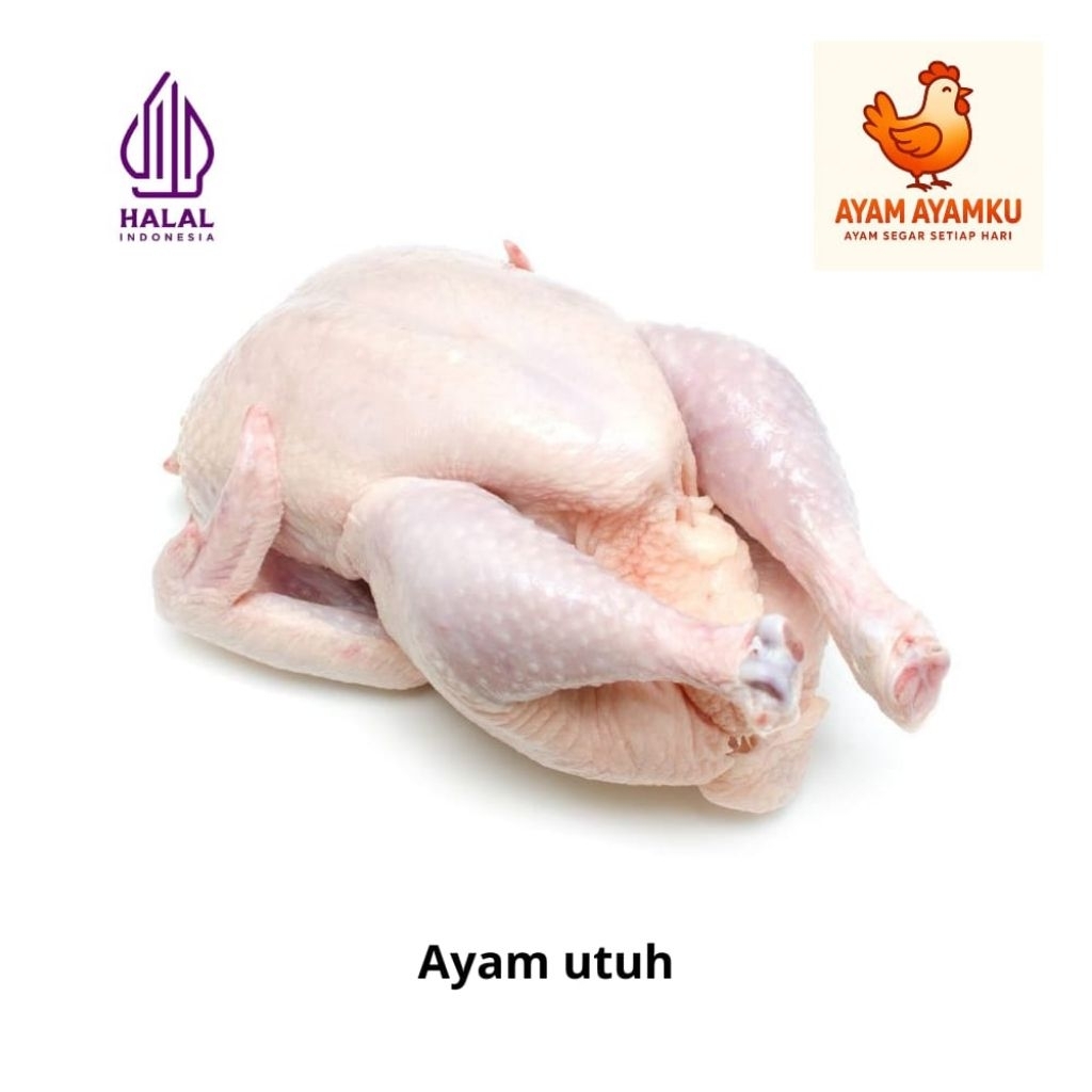 Ayam Utuh Segar 1 ekor | AYAM AYAMKU