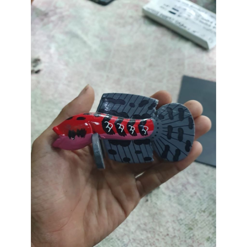 Channa Red Barito 6-7cm full makan pelet