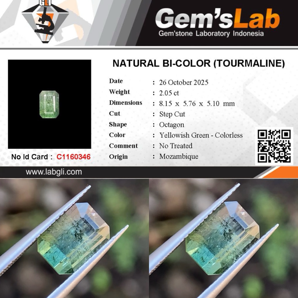 2,05 cts Natural Bi-Color Tourmaline origin Mozambique No Treatment Memo GLI