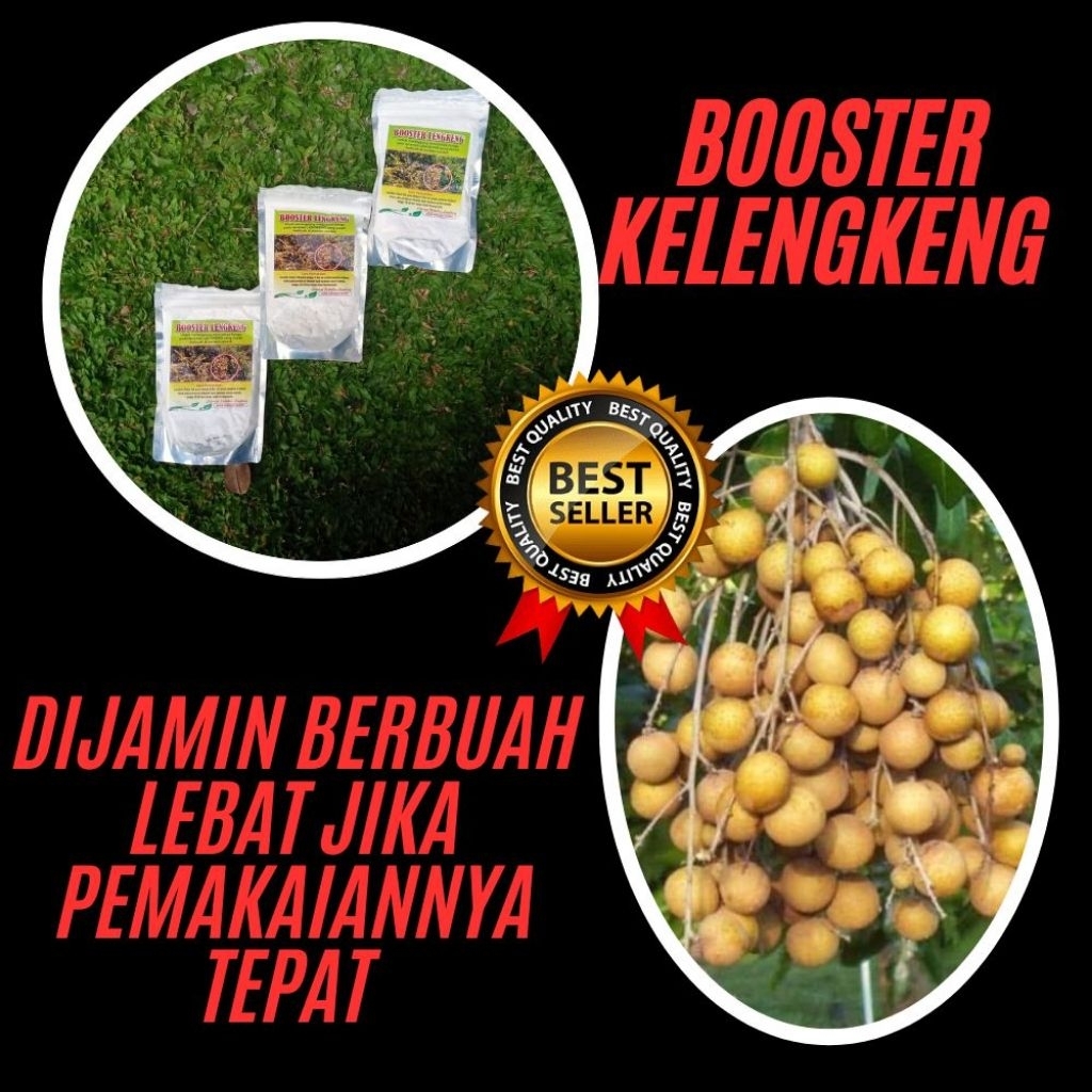 Pupuk Kelengkeng Merah, Pupuk Kelengkeng New Kristal