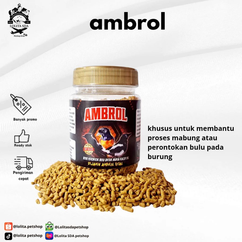 Voer ambrol Voer perontok bulu burung murai kacer