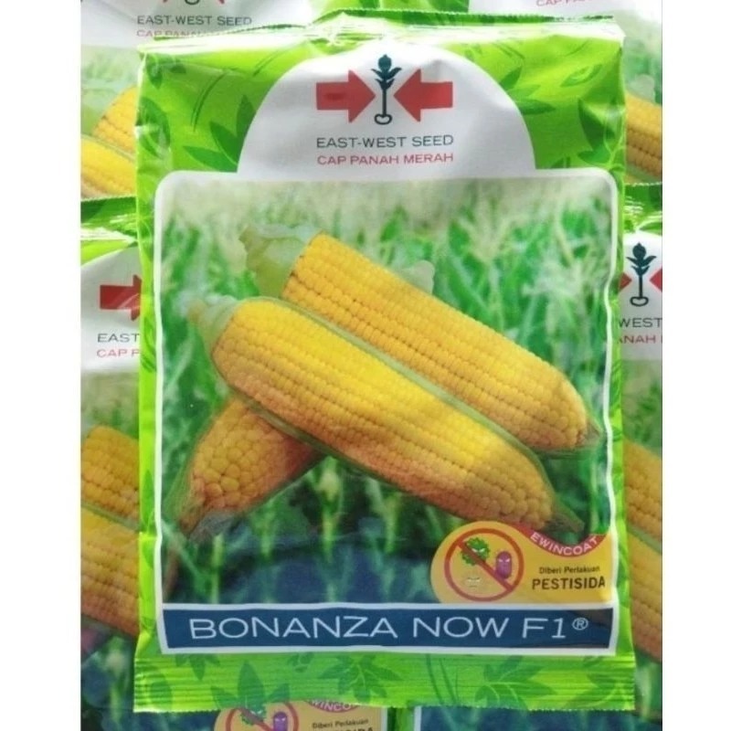 Benih Jagung Manis BONANZA NOW / BONANZA MB F1 Cap Panah Merah