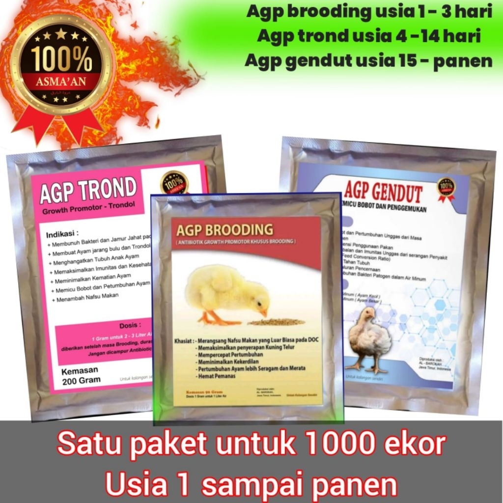 Agp brooding agp trond agp gendut satu paket u 1 - panen