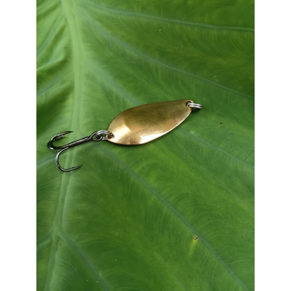 Lure spoon hampala